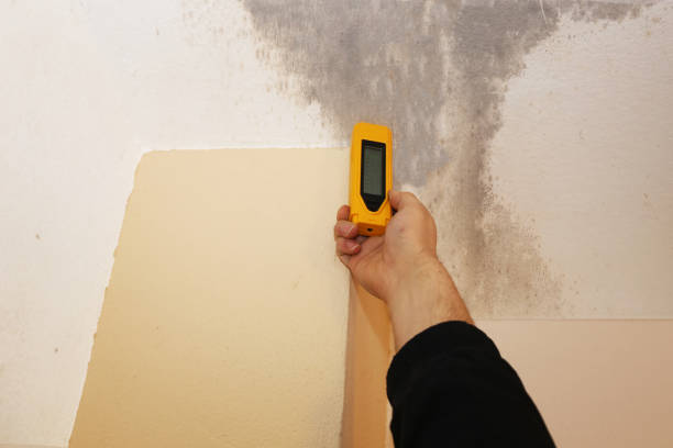 Best Mold Prevention Services  in Waverly, IA