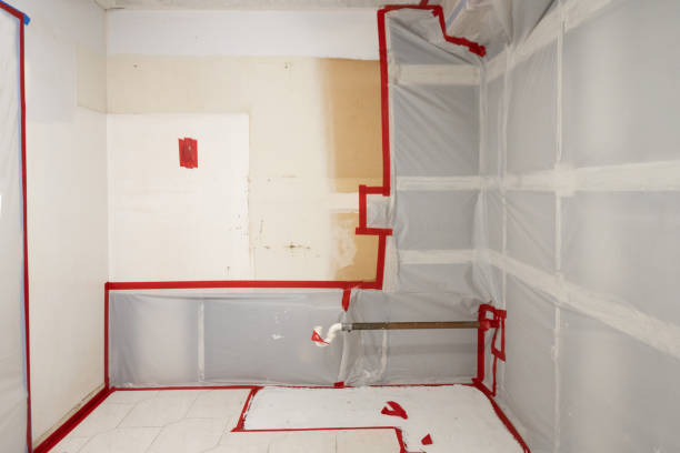 Best Forensic Mold Investigation  in Waverly, IA