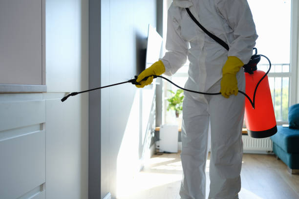 Best Commercial Mold Inspection  in Waverly, IA