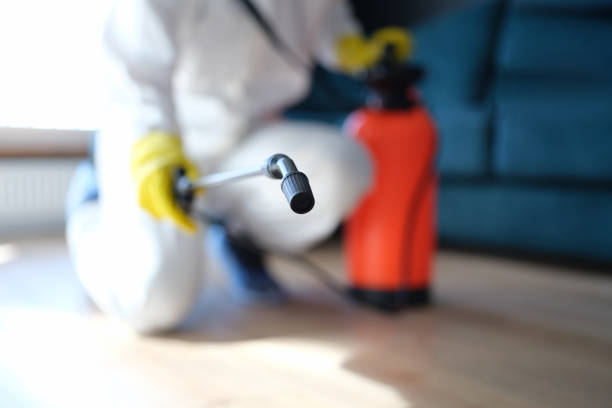 Best Basement Mold Removal  in Waverly, IA