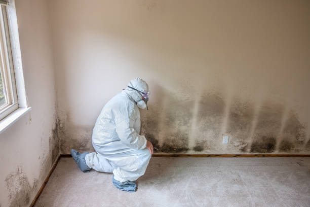 Best Industrial Mold Remediation  in Waverly, IA